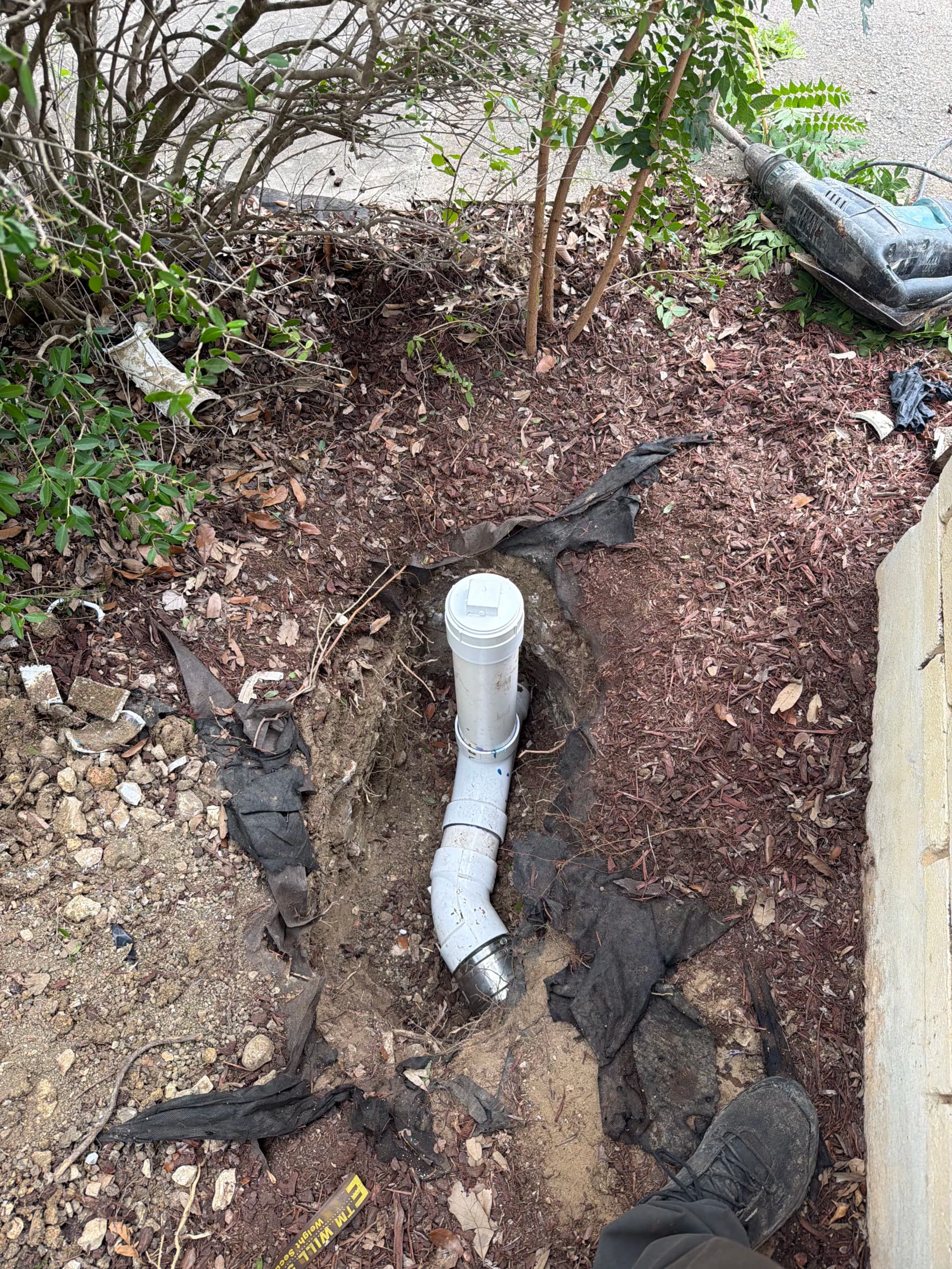 Root Intrusion Fixed With a New Sewer Cleanout Installation